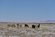 slides/141105_037_a.html
