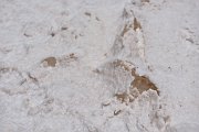 slides/141105_065_a.html