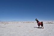slides/141105_082_a.html