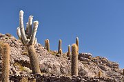 slides/141105_107_a.html