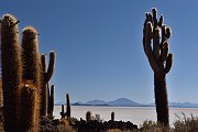 slides/141105_108_a.html