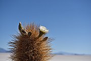 slides/141105_117_a.html