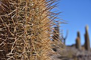 slides/141105_123_a.html