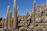 slides/141105_127_a.html