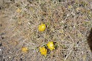 slides/141105_134_a.html