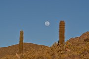 slides/141105_151_a.html