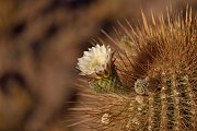 slides/141105_154_a.html