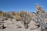 slides/141106_005_a.html