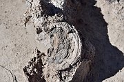 slides/141106_007_a.html