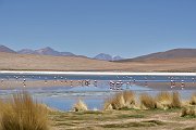 slides/141106_041_a.html