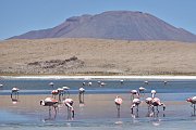 slides/141106_045_a.html