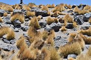 slides/141106_046_a.html