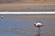 slides/141106_049_a.html