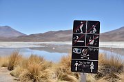 slides/141106_051_a.html