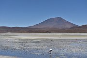 slides/141106_053_a.html