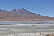 slides/141106_055_a.html