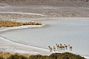 slides/141106_062_a.html
