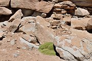 slides/141106_067_a.html