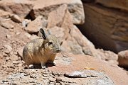 slides/141106_068_a.html