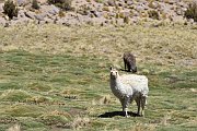 slides/141107_035_a.html