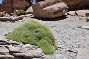 slides/141107_049_a.html