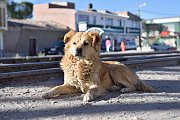 slides/141107_095_a.html